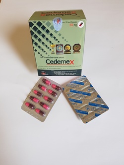 cedemex1